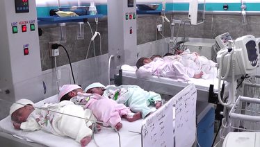 sextuplets