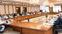Federal cabinet approves circulation summary of COAS