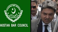 Farogh-naseem