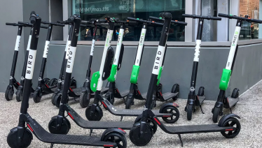 Bird plans to dismiss two dozen of its workforce