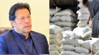 Cane Commissioner Punjab