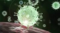 coronavirus live updates